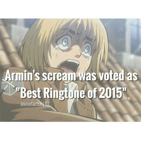 Armins Scream Was Voted As Best Ringtone Of 2015 Text Funny Armin
