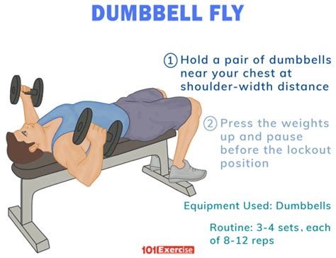 Dumbbell Fly Muscles Worked Off