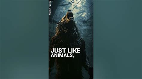 Maroon 5 – Animals Song Lyrics With Black Wolf Image | #short video #