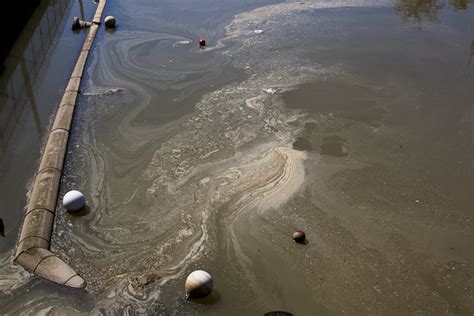 How Sewage Pollution Ends Up In Rivers American Rivers