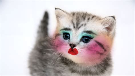 The brand's wide range of products is loved by many people. Petition · Cover Girl: End Animal Testing · Change.org