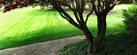 Three Steps To A Well Manicured Lawn Fullmers Landscaping