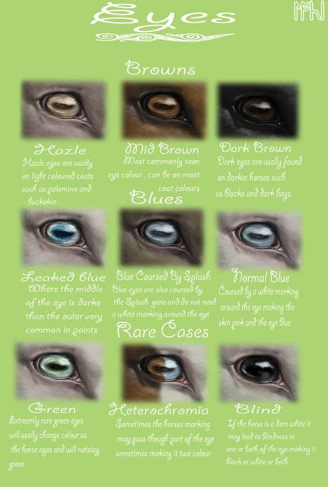 Equine Eyes By Edithsparrow Equine Eye Horse Markings Horse Facts