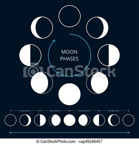 Moon Phases Icons Moon Phases Icons Astronomy Lunar Phases Whole