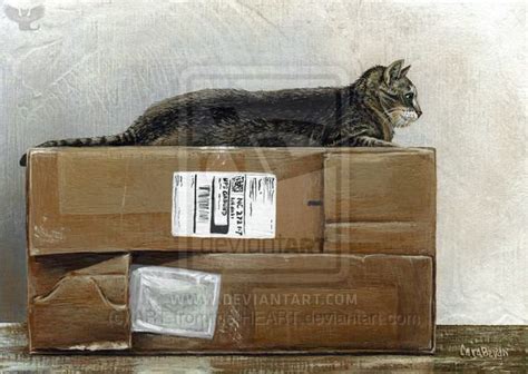 Cardboard Queen By Art Fromthe Heart On Deviantart Cat Art