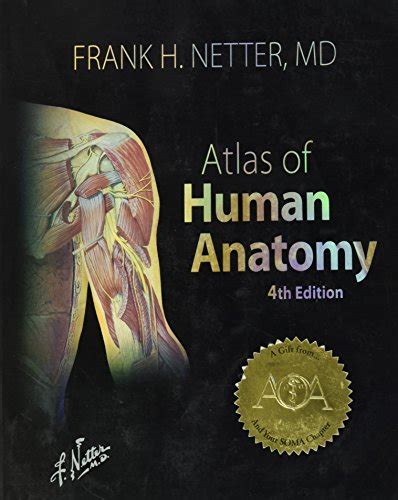 Atlas Of Human Anatomy By Netter Frank H Abebooks