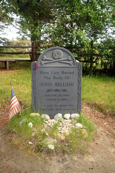 John belushi est un acteur, scénariste américain. Bill & Deb's excellent adventure