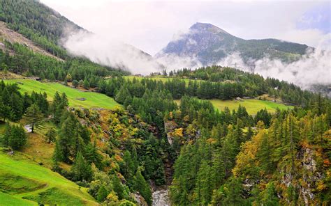 Scenery Switzerland Mountains Forests Grasslands Nature