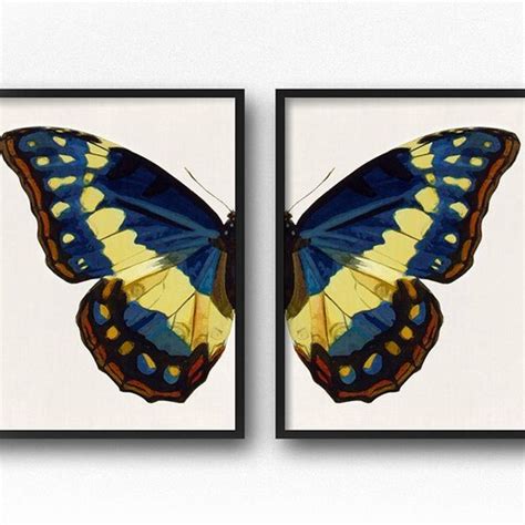Botanical Print Set Of 9 Butterfly Art Prints Beautiful Etsy