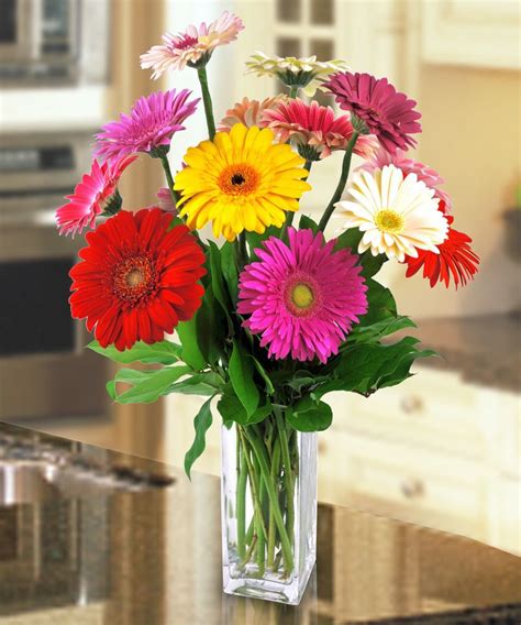 Gerber Daisy Vase Valentines Flowers Beautiful Flower Arrangements