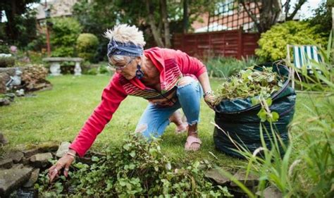 Weeding How To Get Weeds Out Of Grass Uk