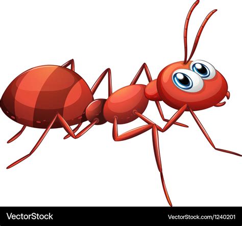 A Big Red Ant Royalty Free Vector Image Vectorstock