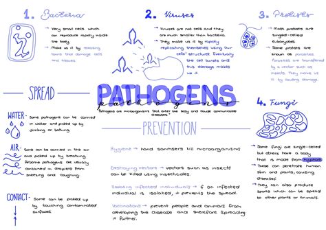 Gcse Biology Revision Notes Topic 3 Infection And Response Artofit