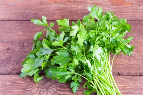 They were hailed as a great success. Parsley Meaning in urdu | meaning in English