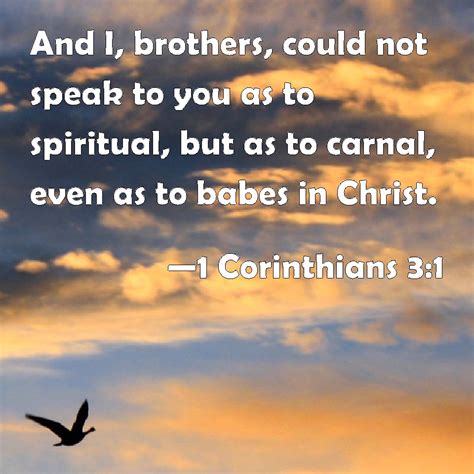 1 Corinthians 31 And I Brothers Could Not Speak To You As To