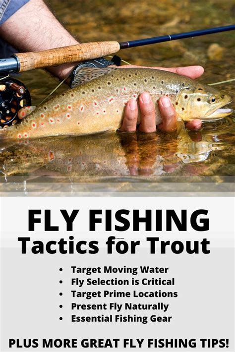 What Is Fly Fishing A Complete How To Guide Fly Fishing For