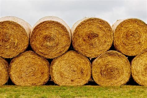 Hay Bale Facts And Figures Sizes Types Costs