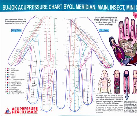 Sujok Points Chart Meridians And Acupoints Chart Magnetic Therapy