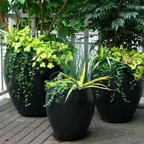 10 Container Ideas For Plants