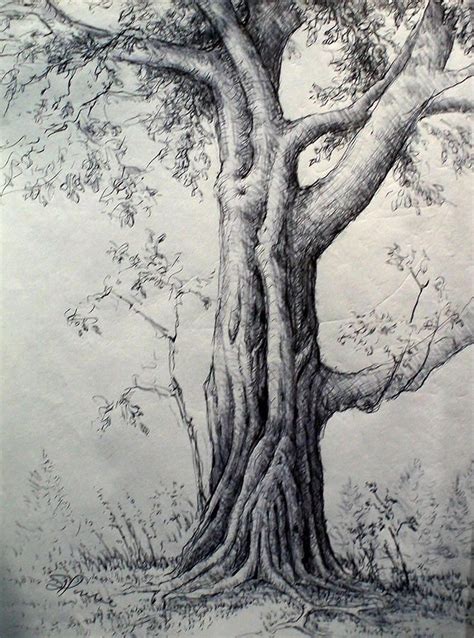 Kjhvjkm Landscape Sketch Pencil Drawings Of Nature Tree Drawings Pencil