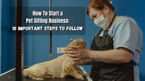 How To Start A Pet Sitting Business Reliabills