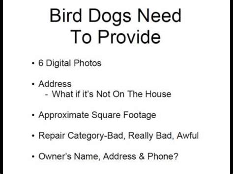 Find bird dog real estate here Real Estate Bird Dogs - What You Need From Your Real ...