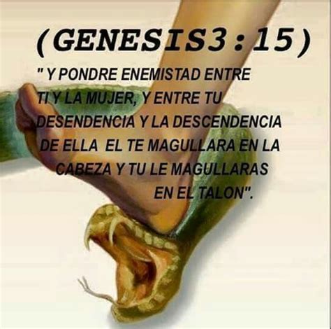 Genesis 315 Genesis 3 Bible Faith Brand Quick Texts Truths