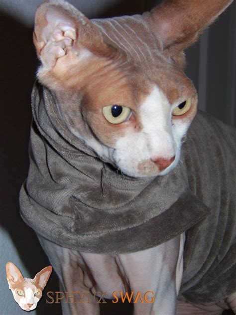 A Hairless Cat Wearing A Scarf Around Its Neck