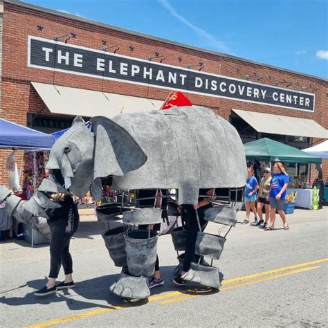 News The Elephant Sanctuary In Tennessee