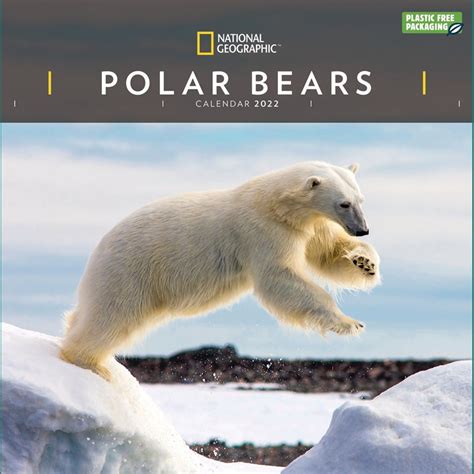 National Geographic Polar Bears Wall Calendar 2022 Pfp