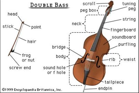 Physics Fundamental Physics I The Physics Of The Double Bass