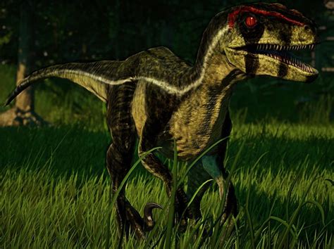 Alpha Raptor Skin Jurassicworldevo