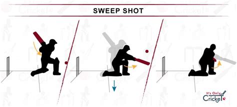 Learn 8 Basic Cricket Shots How To Play As A Beginner