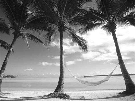 46 Black And White Beach Wallpaper