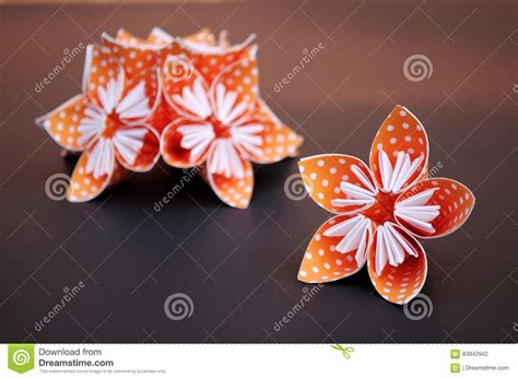 Orange Origami Flowers Made Of Polka Dotted Paper Stock Photo Image