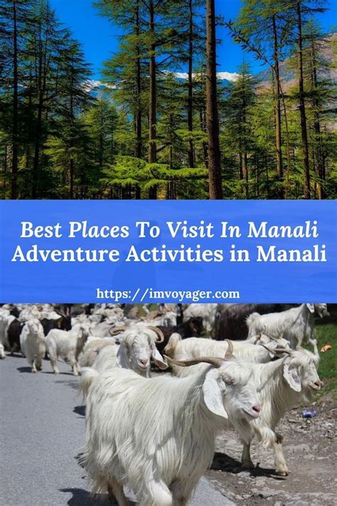 Best Places To Visit In Manali India Kullu And Manali Himachal