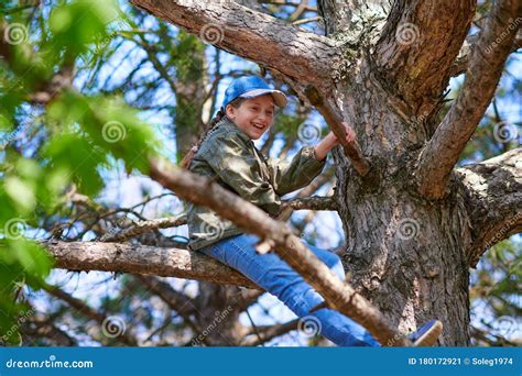 Child Girl Climbing In A Tree Bright Sunlight Beautiful Day Stock