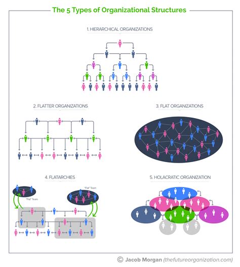 The Complete Guide To The Types Of Organizational Structures For The Future Of Work HR Curator