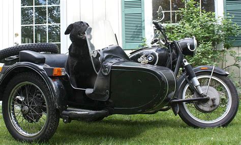 There is much history and nostalgia attached to the motorcycle sidecar, so it is easy to see why they are such a coveted item for so many motorcycle. So my mom got a dog and a motorcycle with a side car. This ...