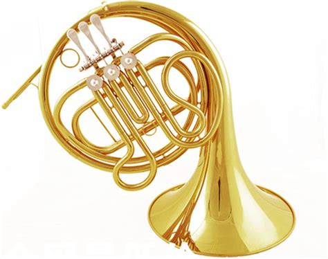 Trompeta Cuerno Francés Cuerno De Oro Lacado Cuerno Francés F Horn
