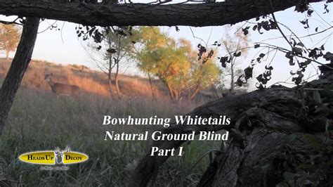 Bow Hunting Whitetails From The Ground Natural Ground Blind Part 1