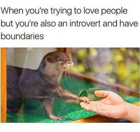 75 Funny Introvert Memes That Are Even More Hilarious In 2020