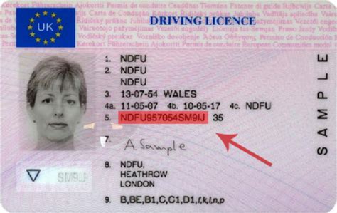 It is unlawful to drive a motor vehicle on a road or a road related area without. Share Your Driving Licence | Licence Check Code | Intack ...