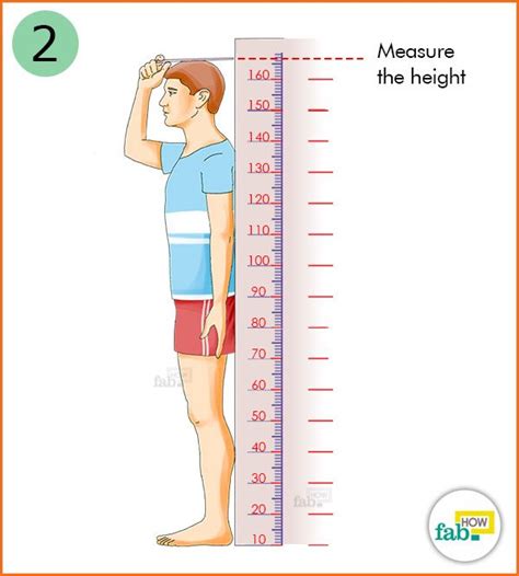3 Ways To Measure Your Height By Yourself Pedalaman Riset