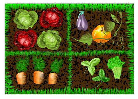 Vegetable Garden Clipart 2 Clipart World