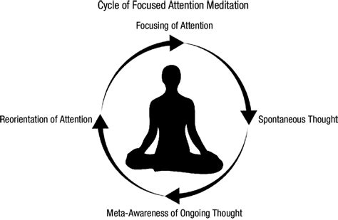 The Cycle Of Meditation And Mind Wandering During A Focused Attention