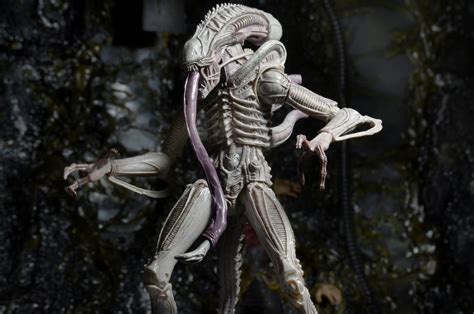Closer Look Aliens Series 9 Action Figures Vasquez Frost And Albino