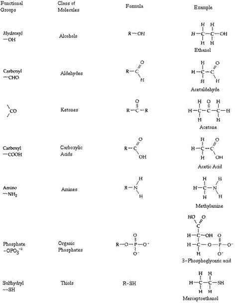 Organic Chemistry Functional Groups Oswaldominschultz