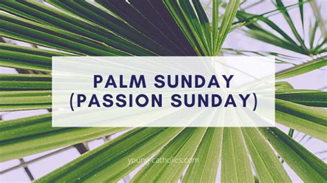 This is a common palm sunday catholic tradition. Palm Sunday