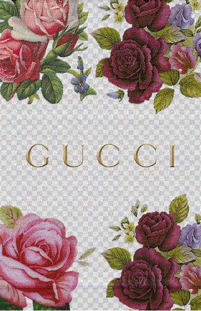 Gucci Iphone Wallpapers Louis Rose Chanel Backgrounds